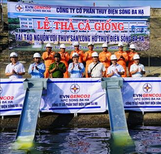 Công ty Cổ phần Thủy điện Sông Ba Hạ thả cá giống tái tạo nguồn lợi thủy sản tại lòng hồ Thủy điện Sông Ba Hạ